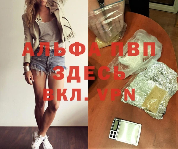 индика Белокуриха
