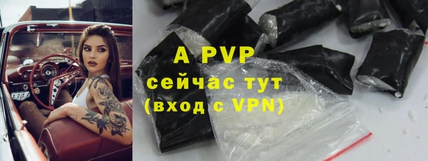 индика Белокуриха