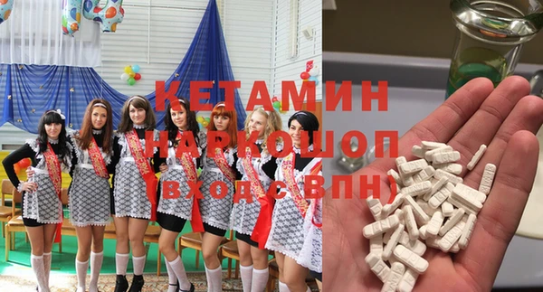 индика Белокуриха