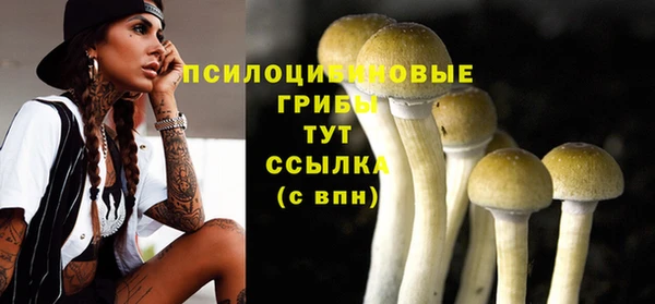 индика Белокуриха