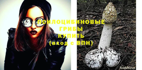 2c-b Белоозёрский