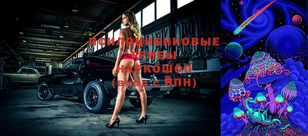 индика Белокуриха