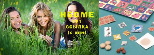 индика Белокуриха