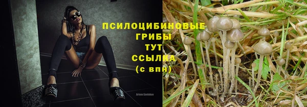 2c-b Белоозёрский
