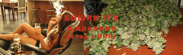 индика Белокуриха