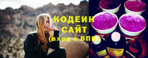 индика Белокуриха