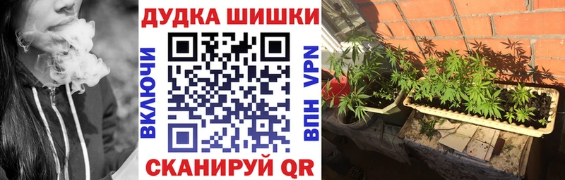 Бошки Шишки тримм Салаир